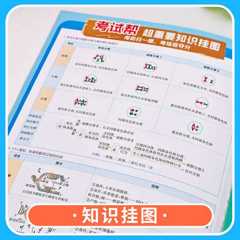 2026适用高中教材帮高一下册作业帮练习册必修第二册必修第三册必修4人教版必刷题全套全解同步辅导书预习复习书 历史地理必修二+政治必修3人教版