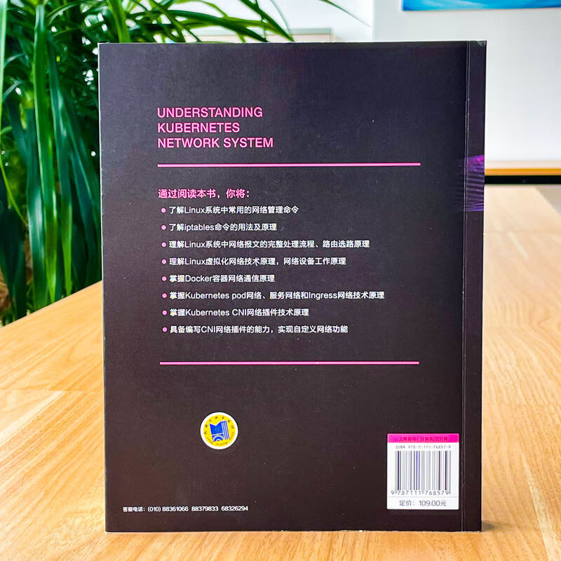 深入理解Kubernetes网络系统原理 机械工业出版社 韩相国 著 书籍 图书