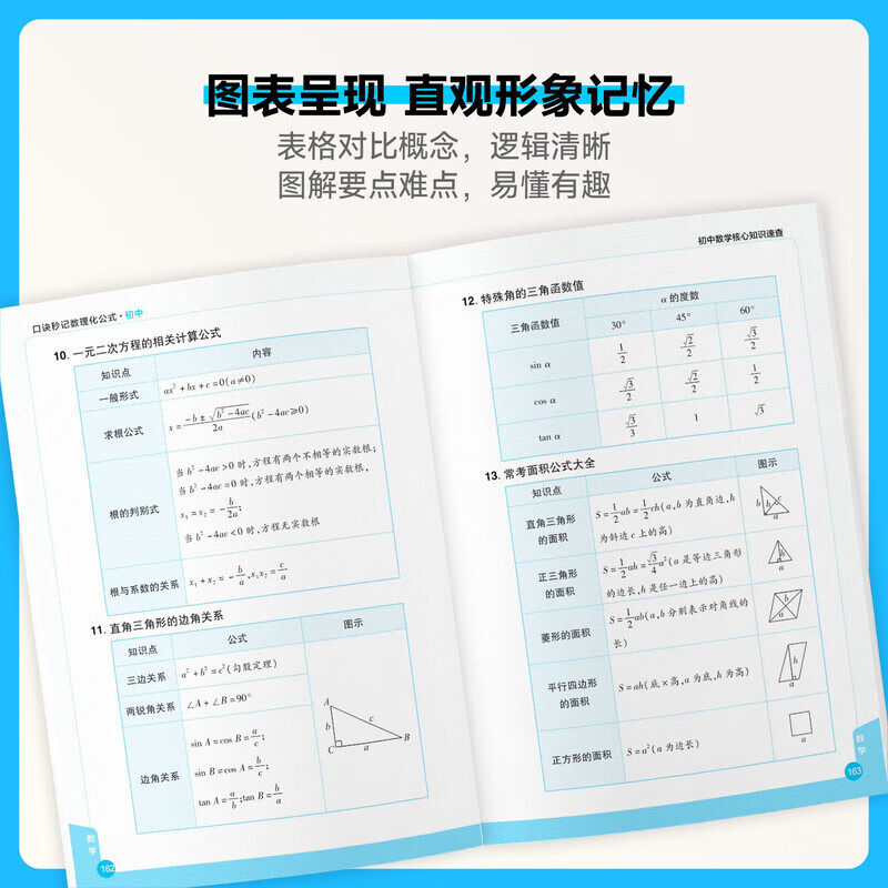 【旗舰店】载望初中口诀秒记数理化公式思维导图理化生实验数学物理化学详情图