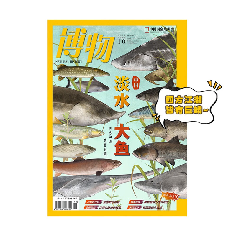 博物 2025年10月号 中国国家地理青春少年版 博物君探索自然奥秘