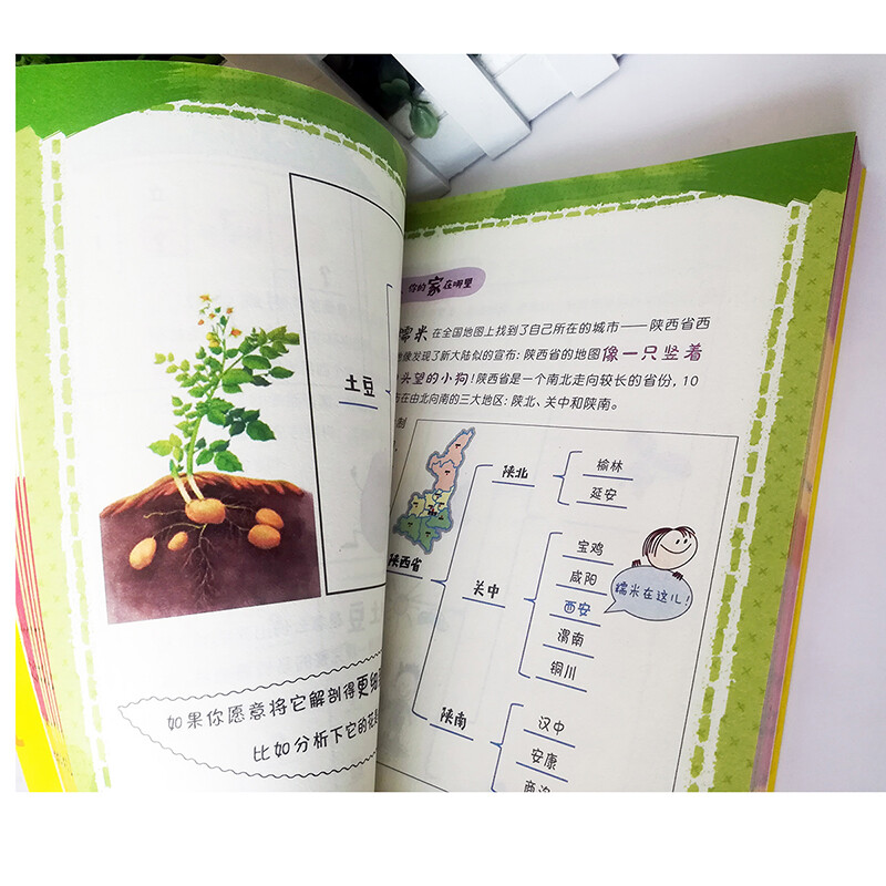 我的第一本亲子思维导图：零基础亲子学习教程 八种思维导图Thinking maps详情图