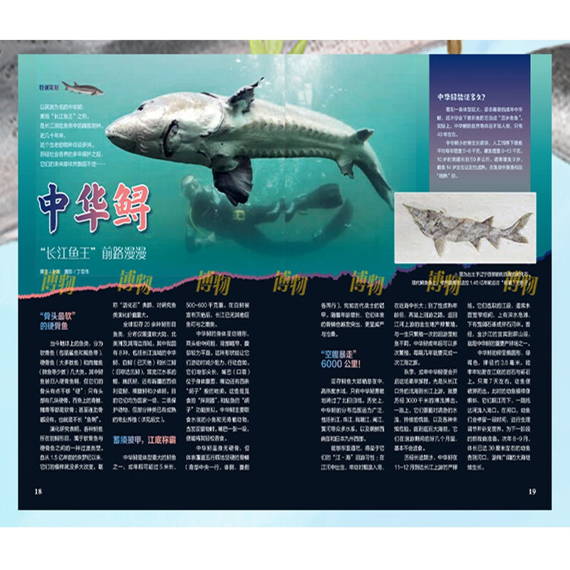博物 2025年10月号 中国国家地理青春少年版 博物君探索自然奥秘