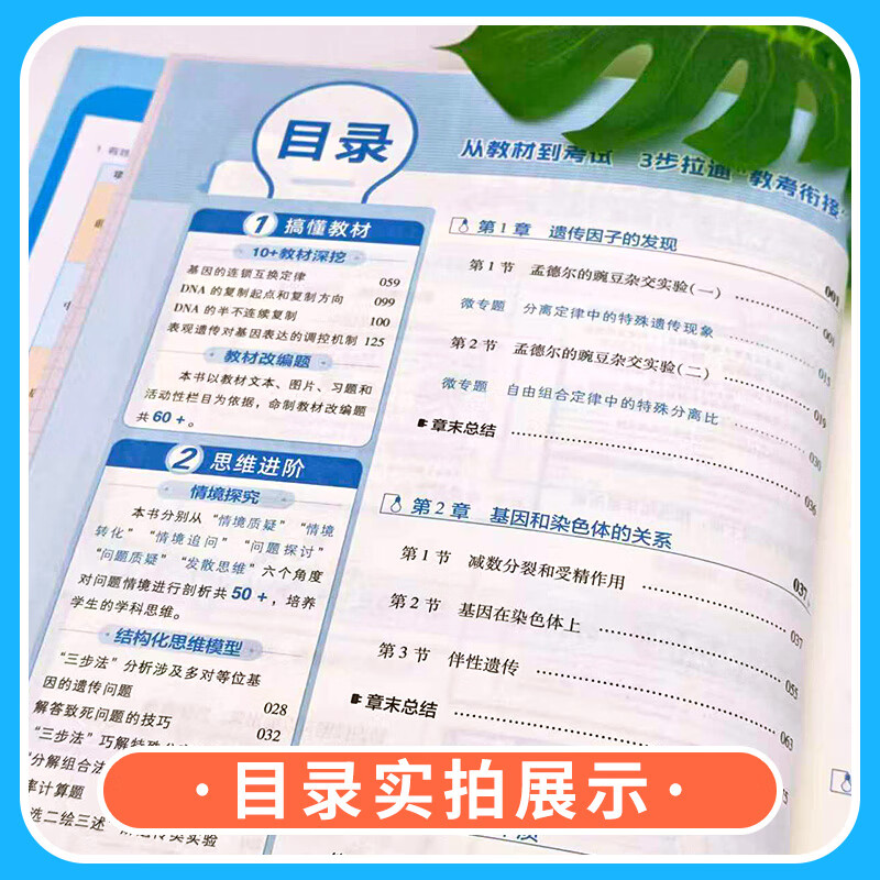 2026适用高中教材帮高一下册作业帮练习册必修第二册必修第三册必修4人教版必刷题全套全解同步辅导书预习复习书 历史地理必修二+政治必修3人教版