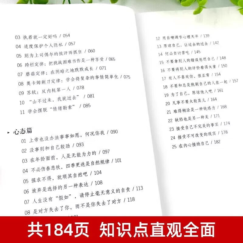 反内耗思维反内耗心法焦虑心理学摆脱焦虑心理学自助告别社恐高敏感自卑抑郁心灵疗愈治愈系 静心修心心理健康焦虑自愈 反内耗心法