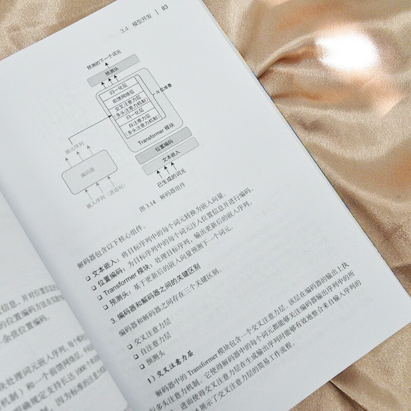 实战AI大模型：来自OpenAI的一线经验 生成式AI大模型面试LLM大模型架构设计GENAI模型 图灵出品详情图