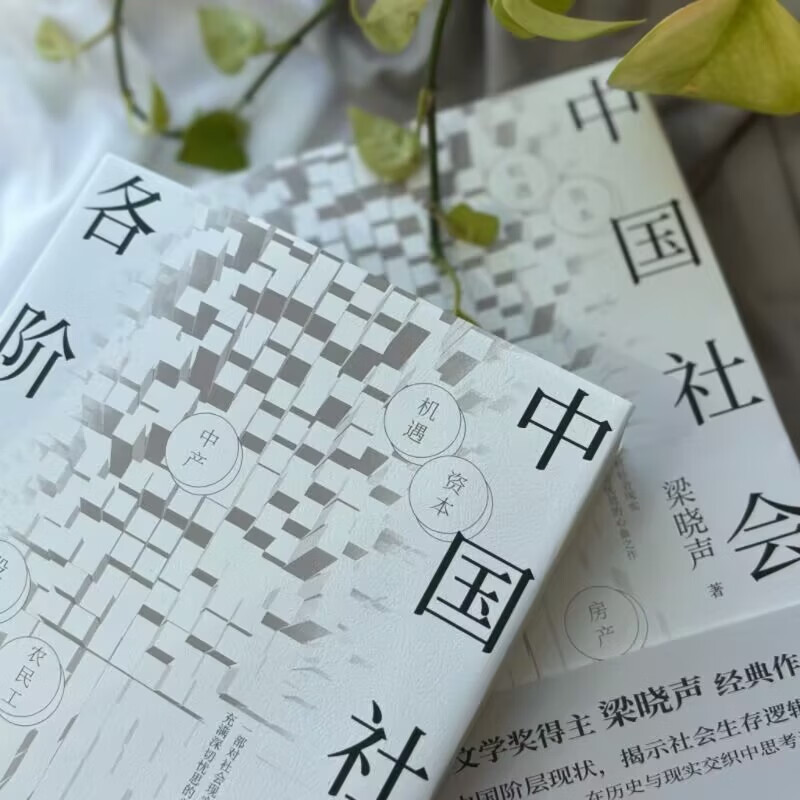 中国社会各阶层分析 茅盾文学奖得主梁晓声经典畅销作品 获《人民日报》推荐详情图