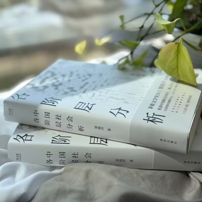 中国社会各阶层分析 茅盾文学奖得主梁晓声经典畅销作品 获《人民日报》推荐详情图