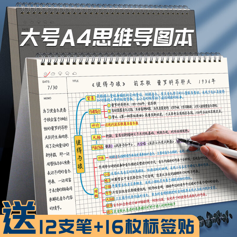 逸沁堂思维导图本子强迫症笔记本子大号加厚大学生课堂考研做笔记专用本带模版横向康奈尔网格方格本 B5思维导图【白】2本(无)详情图