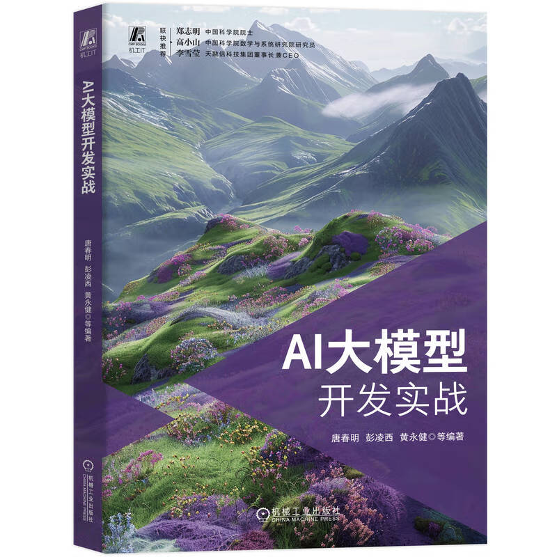 AI大模型开发实战 大模型 开发 实战 实战导向 即学即用详情图