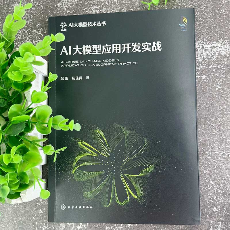 AI大模型应用开发实战详情图