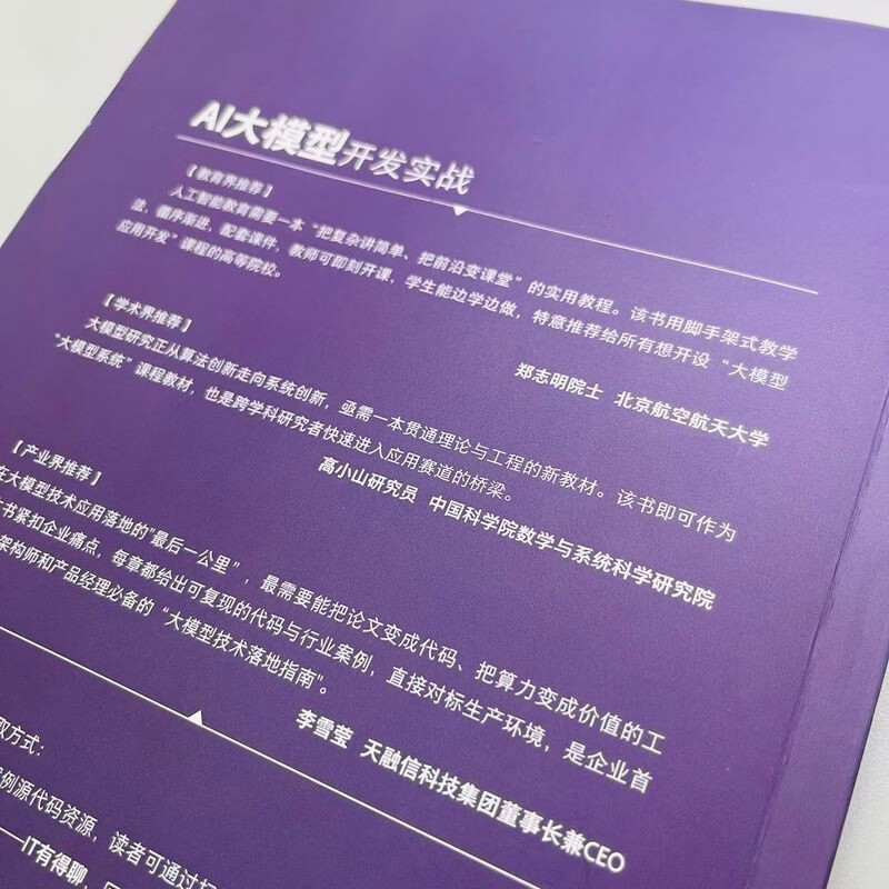 AI大模型开发实战 大模型 开发 实战 实战导向 即学即用详情图
