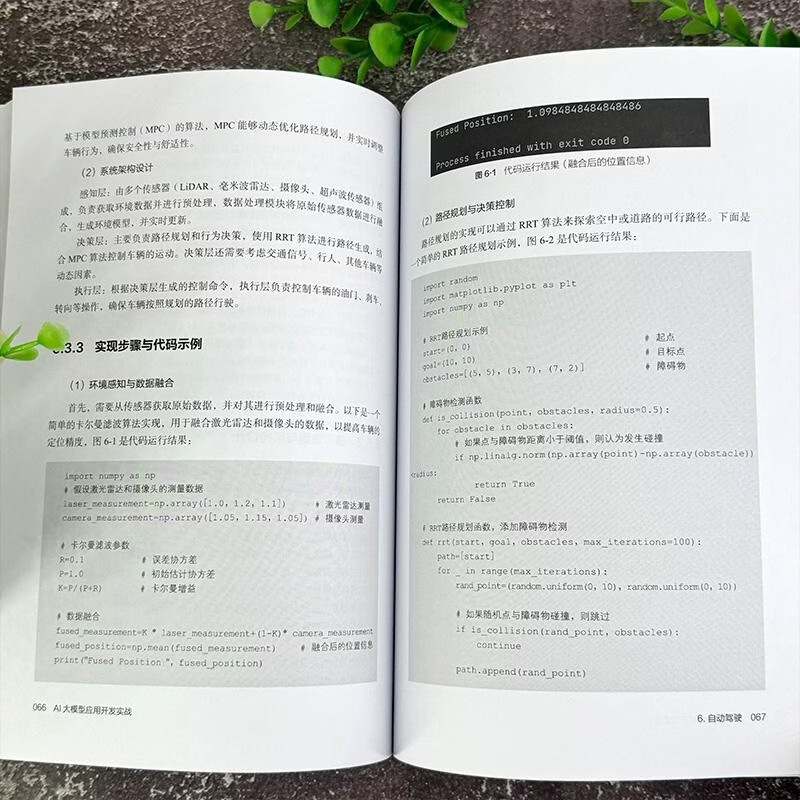 AI大模型应用开发实战 化学工业出版社 吕阳杨佳贤 著 著 AI大模型技术丛书 书籍 图书详情图