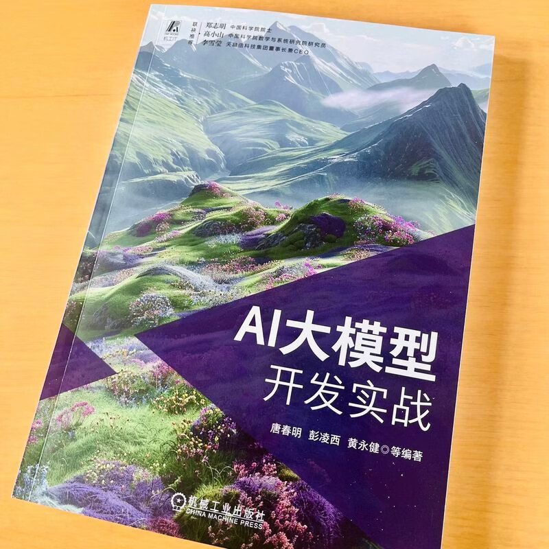 AI大模型开发实战 大模型 开发 实战 实战导向 即学即用详情图