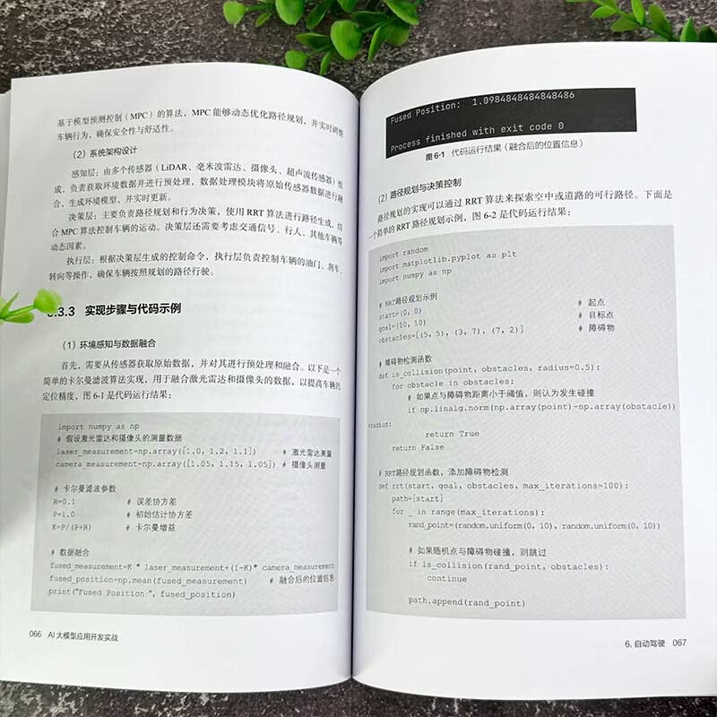 AI大模型应用开发实战详情图