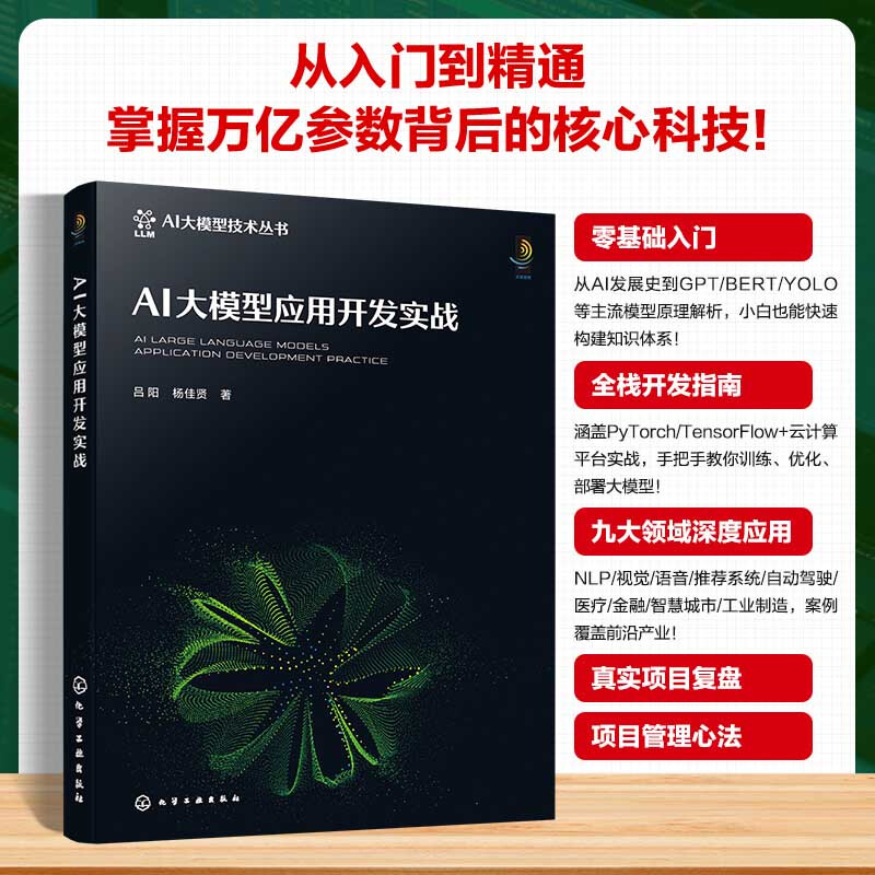 AI大模型应用开发实战详情图