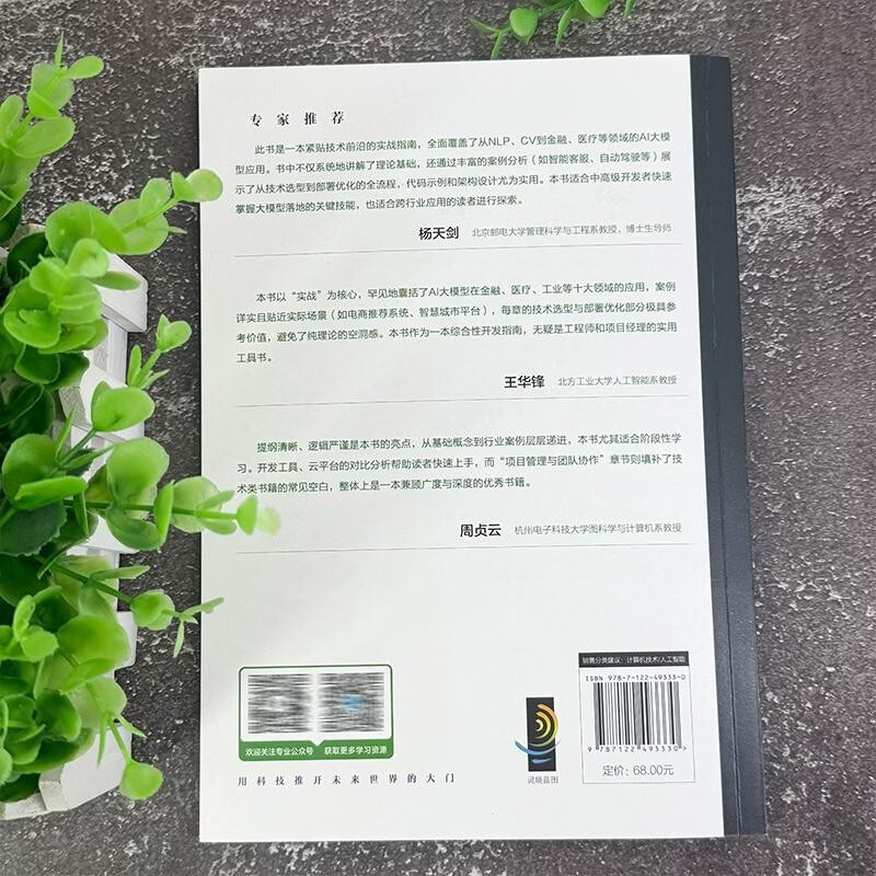 AI大模型应用开发实战 化学工业出版社 吕阳杨佳贤 著 著 AI大模型技术丛书 书籍 图书详情图