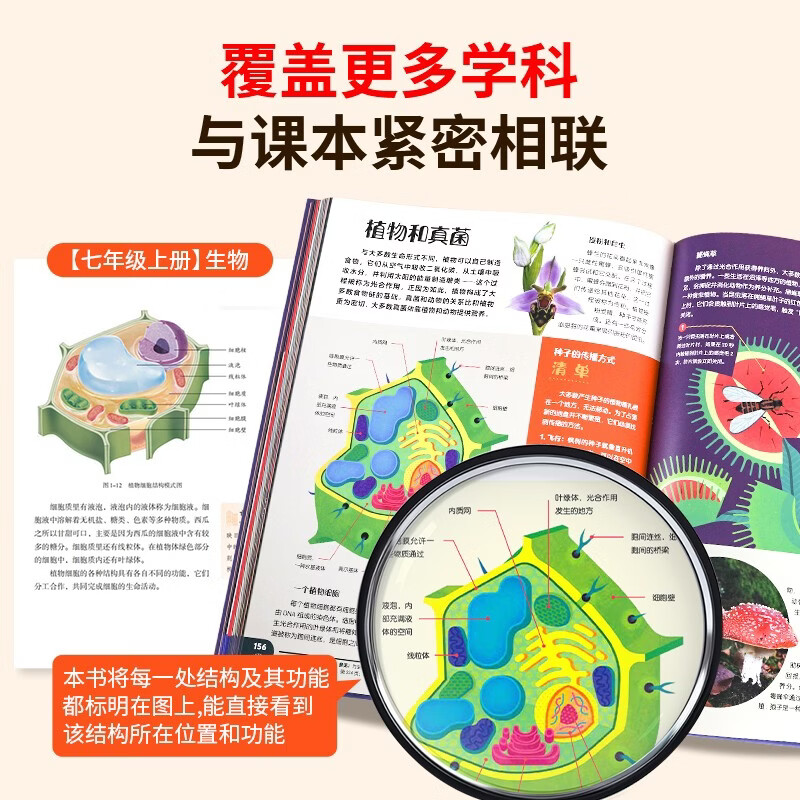 大英儿童百科全书（礼盒装）儿童生日礼物小学生6-12岁课外阅读书籍科普地理历史DK博物百科全书暑假作业 一升二暑假衔接 小升初暑假衔接详情图