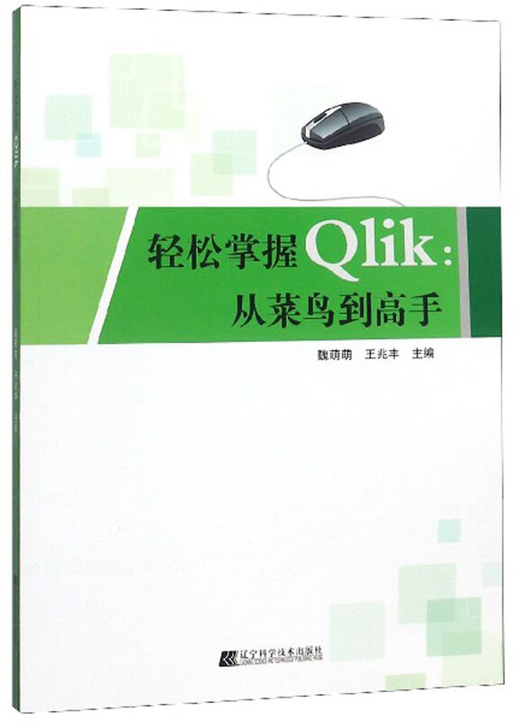 轻松掌握Qlik：从菜鸟到高手详情图