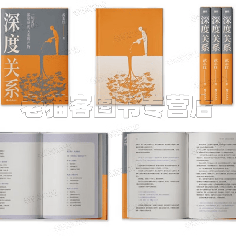 【正版现货】深度关系武志红心理学书籍全集自我的诞生拥有一个你说了算的人生为何家会伤人 和另一个自己谈谈心为何爱会伤人 感谢自己的不完美走出人格陷阱 巨婴王国作者书籍 武志红心理学书籍【12册】深度关系详情图