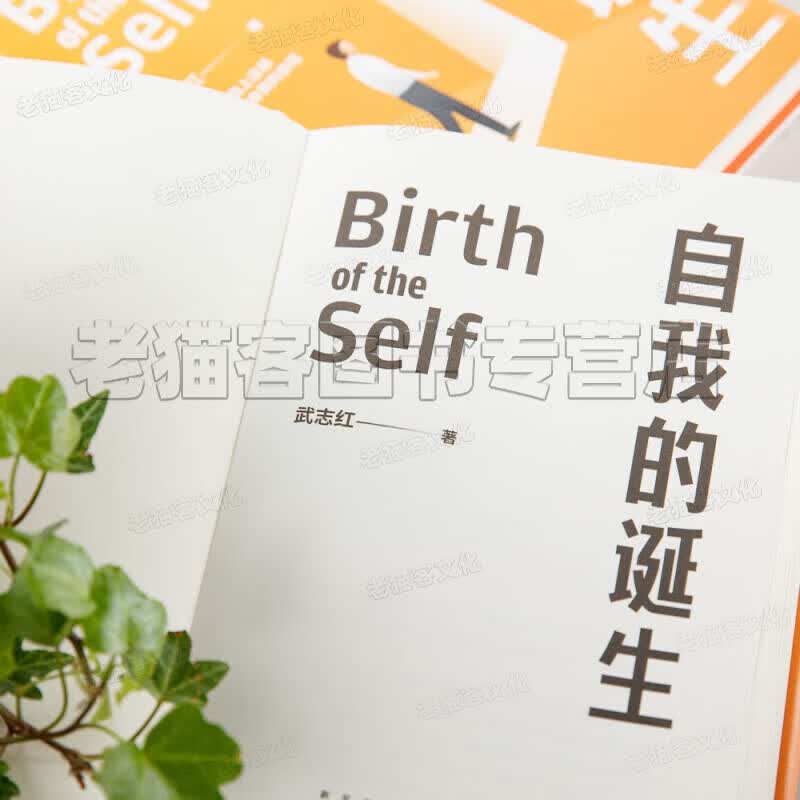 【正版现货】深度关系武志红心理学书籍全集自我的诞生拥有一个你说了算的人生为何家会伤人 和另一个自己谈谈心为何爱会伤人 感谢自己的不完美走出人格陷阱 巨婴王国作者书籍 武志红心理学书籍【12册】深度关系详情图