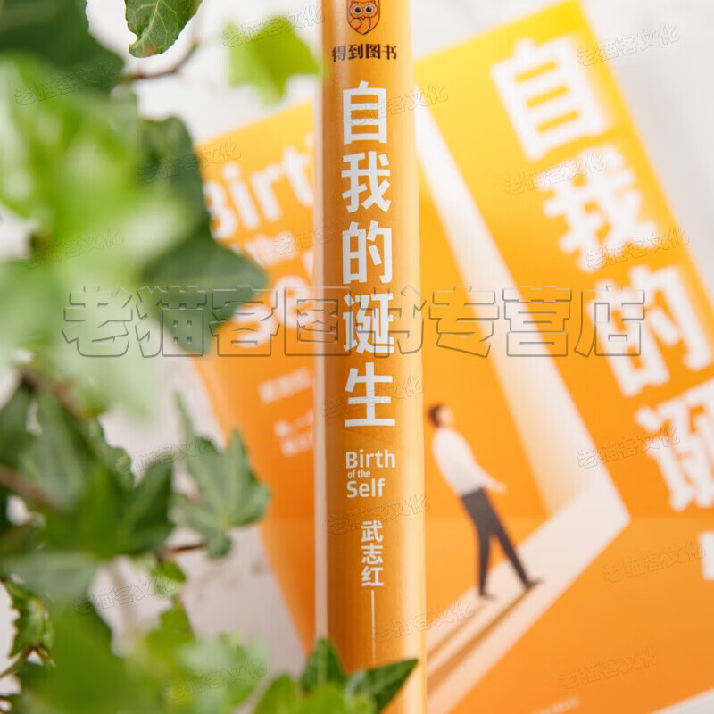 【正版现货】深度关系武志红心理学书籍全集自我的诞生拥有一个你说了算的人生为何家会伤人 和另一个自己谈谈心为何爱会伤人 感谢自己的不完美走出人格陷阱 巨婴王国作者书籍 武志红心理学书籍【12册】深度关系详情图