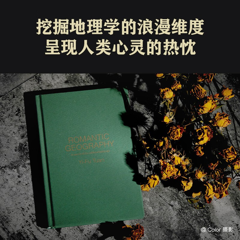 浪漫地理学：追寻崇高景观（人文地理学之父段义孚经典著作）详情图