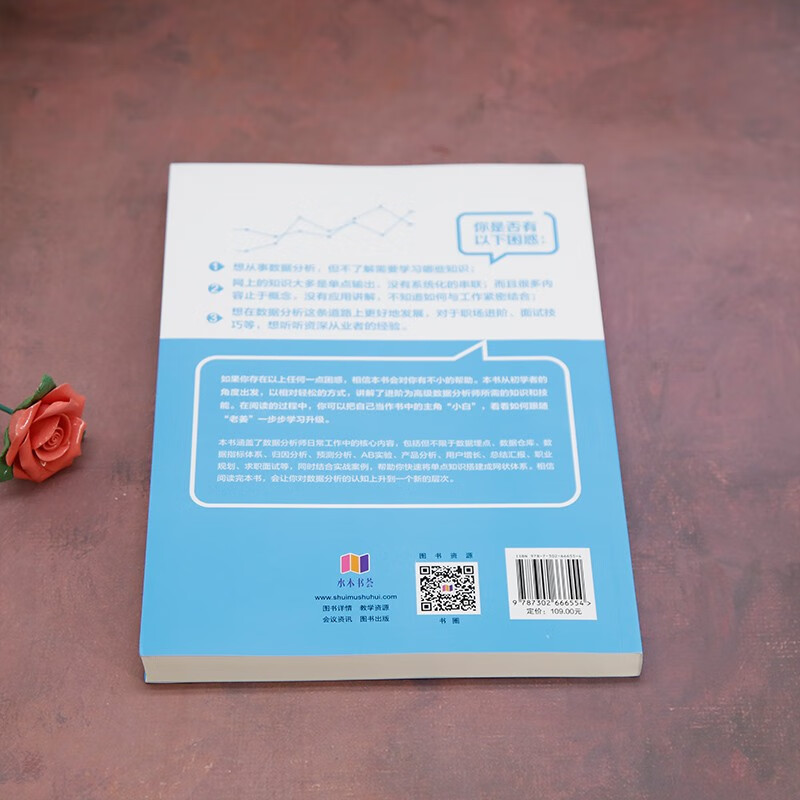 数据分析实践：专业知识和职场技巧详情图