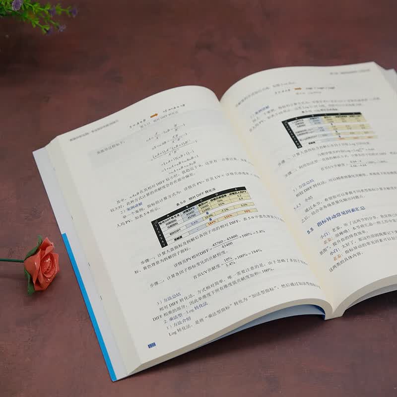 数据分析实践：专业知识和职场技巧详情图