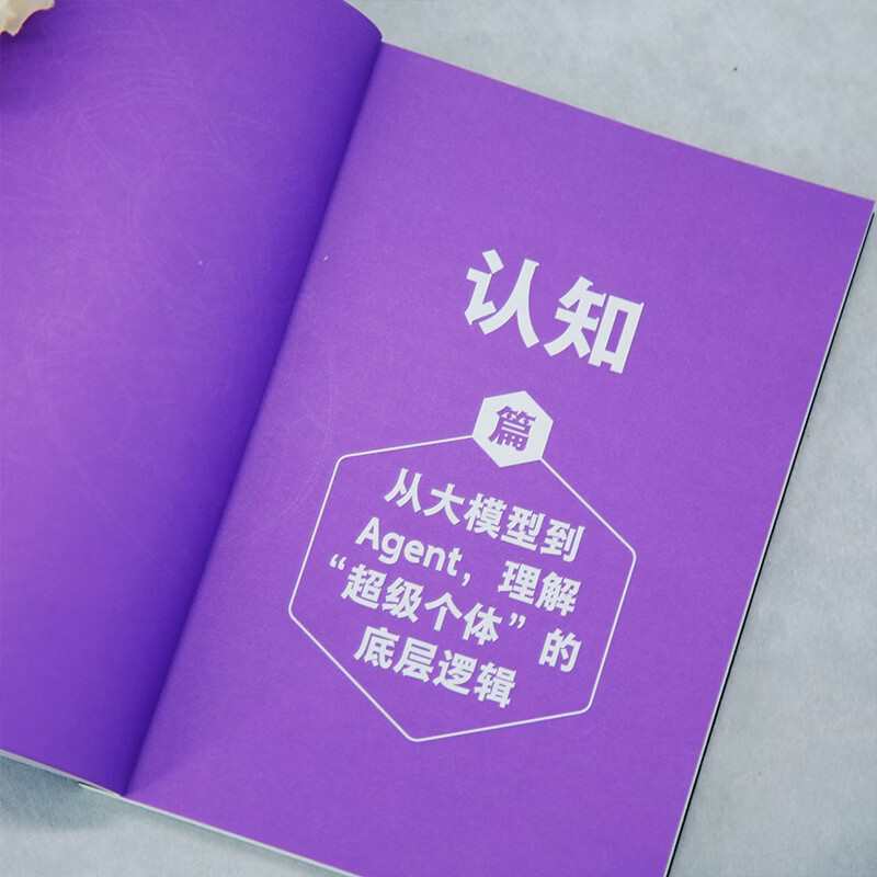 龙虾赋能：OpenClaw成就一人公司详情图