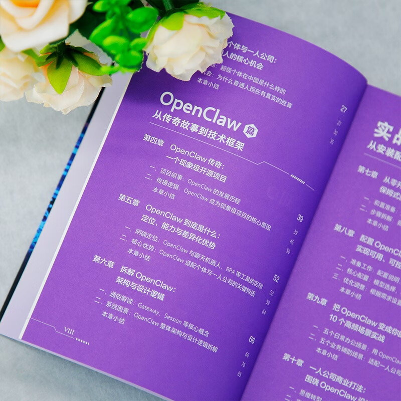 龙虾赋能：OpenClaw成就一人公司详情图
