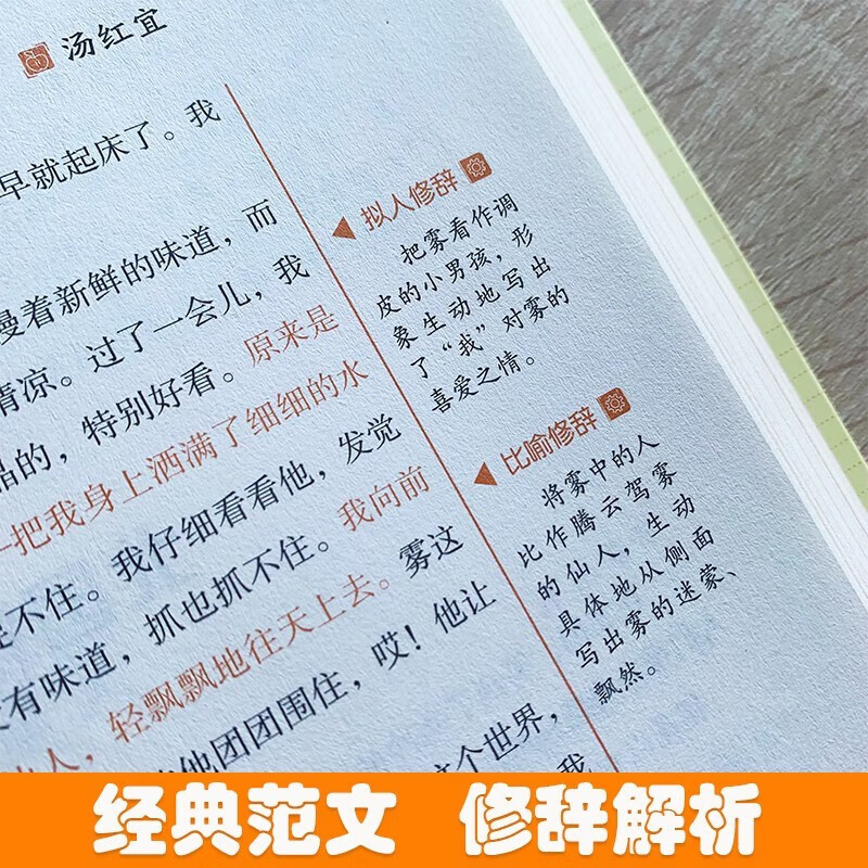 思维导图 小升初获奖作文 小学通用 小学生优秀作文满分作文素材书小学三四五六年级作文辅导获奖作文范文例文赏析满分作文大全详情图