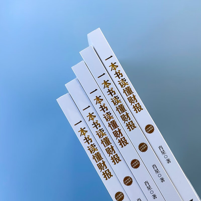 一本书读懂财报（肖星作品，畅销10年，全新升级）详情图