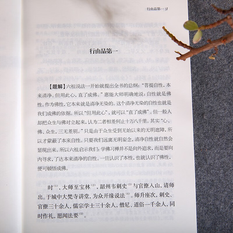 六祖坛经新版全本全注全译 谦德国学文库中国禅宗经典之一佛教十三经书籍心经金刚经佛学入门详情图