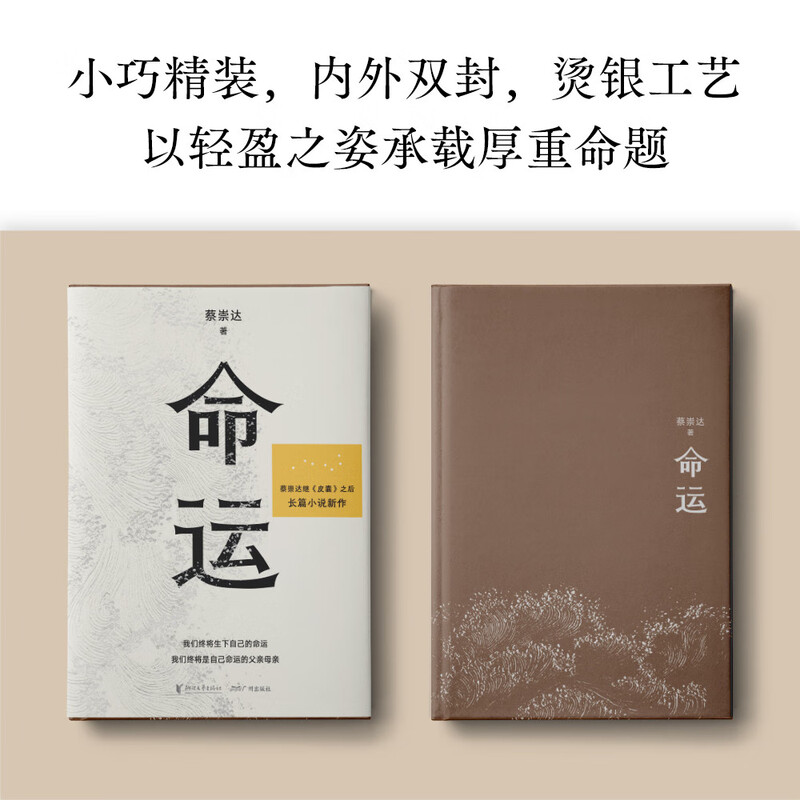 影后辛芷蕾推荐 命运 畅销400万册《皮囊》作者长篇新作 刘德华 韩寒 白岩松 李敬泽 程永新联袂推荐一个人的无常所有人的命运