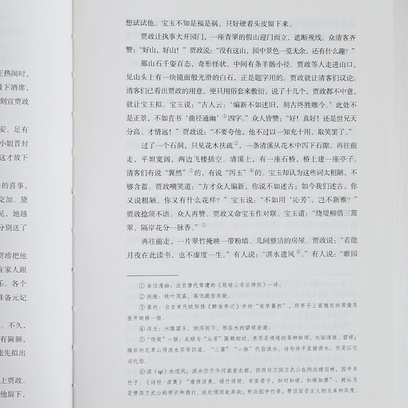 红楼梦 四大名著（附赠彩绘大页思维导图  白话文改编，清孙温工笔彩插， 疑难字注音注释）原著正版京东自营 高中生版 小说