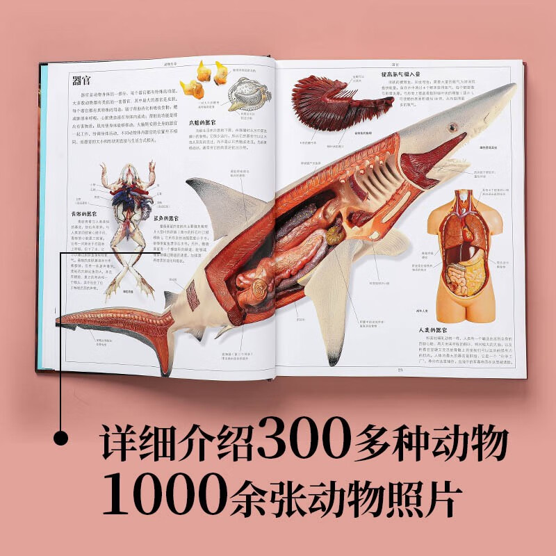 DK儿童动物大百科详情图