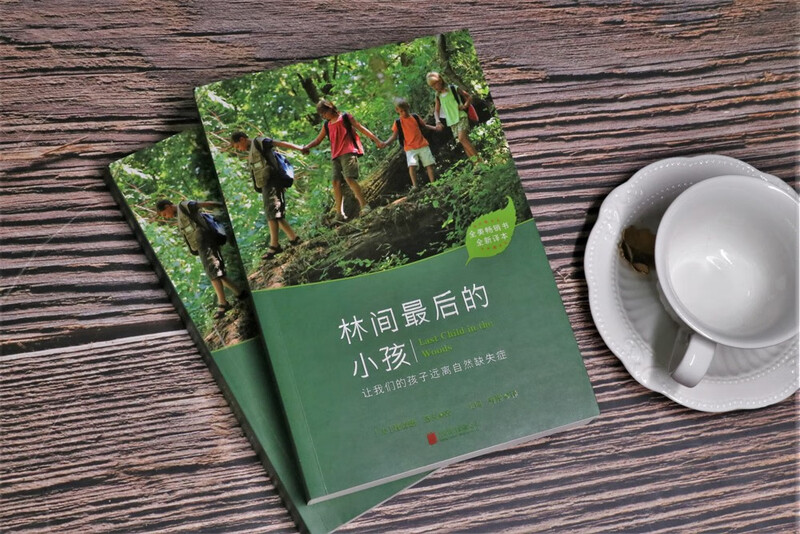 林间最后的小孩详情图