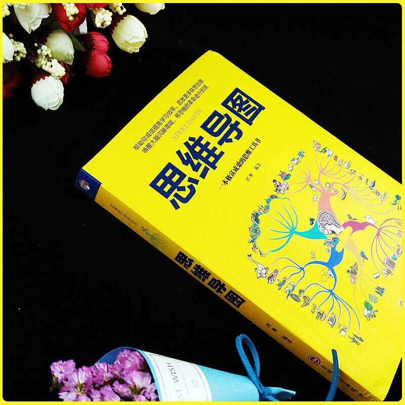思维导图 记忆力训练法 教你简单快速有效的提升记忆快速提高左右脑思维和技巧详情图