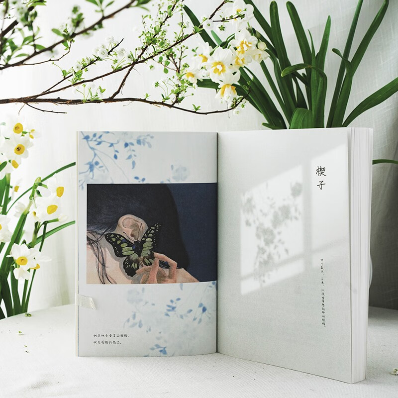 见春天【赠珠光明信片+回忆底片+贴纸+留言卡+信纸+海报】（新增番外《见答案》！晋江人气作者 纵虎嗅花 催泪之作！）青春文学爱情情感校园畅销...