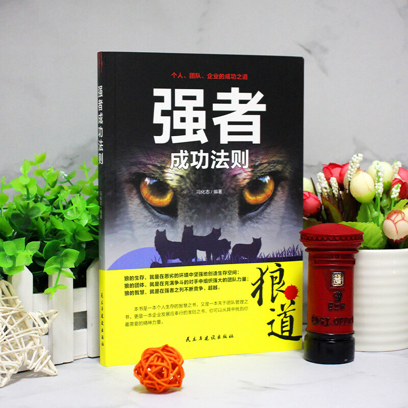 强者成功法则：狼道