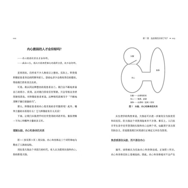 抑郁的力量  心理自助指南 心理健康 抗抑郁策略 北京科学技术