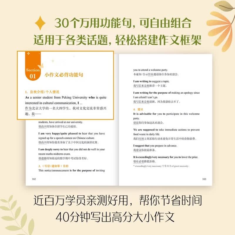 多品可选【官方现货】石雷鹏2026考研英语作文冲刺背诵手册背诵20篇 真题真刷真题试卷 唐迟阅读的逻辑 英语一英语二写作模板冲刺背诵范文 高分写...详情图