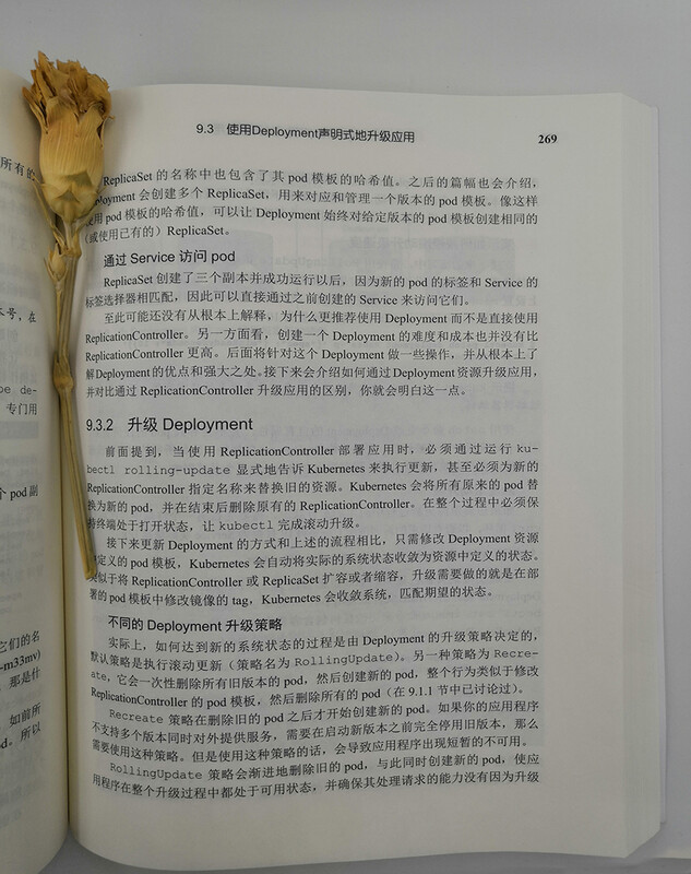 Kubernetes in Action中文版(博文视点出品)