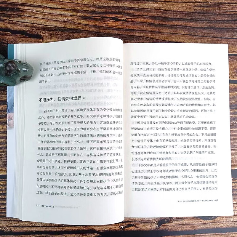 陪孩子走过初中三年 青春期初中生家长阅读教育孩子的书籍家教陪我走过初中三年详情图
