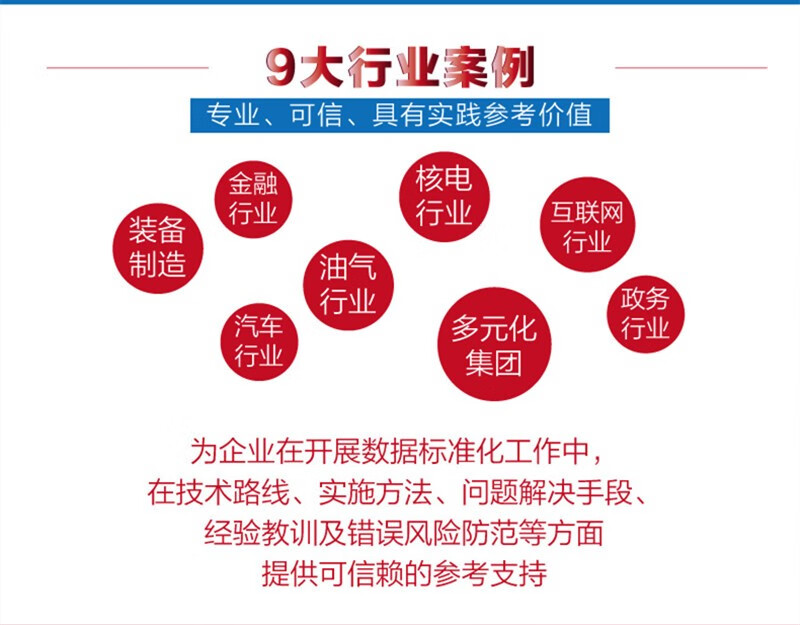 数据标准化：企业数据治理的基石(博文视点出品)