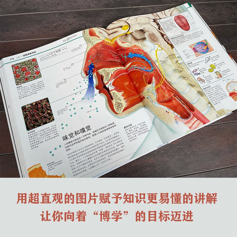 DK知识大百科 精装典藏版 儿童通用百科全书 6-14岁课外阅读 涵盖天文地理动物科学 一站式知识宝库详情图
