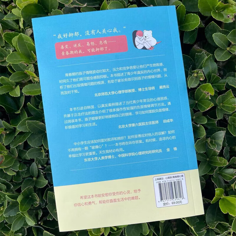 容易抑郁的十几岁 抑郁 不安 暴躁 青春期 心理学 自卑 厌学 休学 精神内耗 北京科学技术详情图