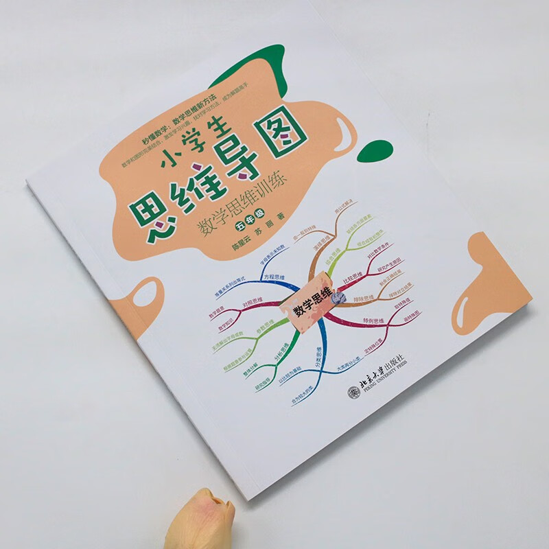 小学生思维导图：数学思维训练（五年级）小学解题三字诀：可视化 课外阅读暑期阅读学生阅读畅销教辅详情图