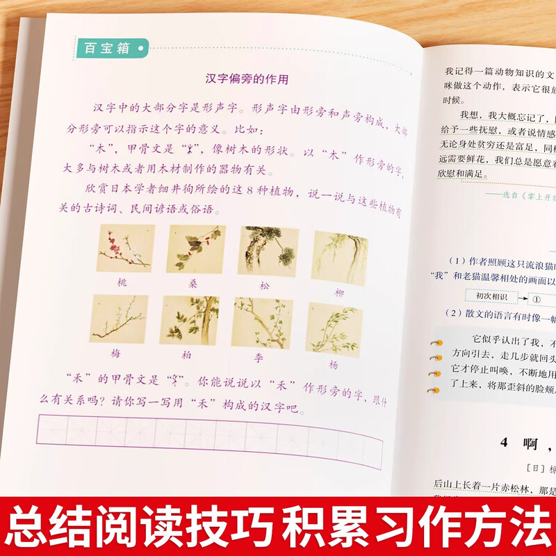 人民日报伴你阅读小学人民日报教你阅读写作阅读理解一年级二年级三年级四年级五年级六年级上册下册优美文章金句作文素材积累大全语文阅读理解专项训练 【上册】人民日报伴你阅读（1本） 小学三年级详情图