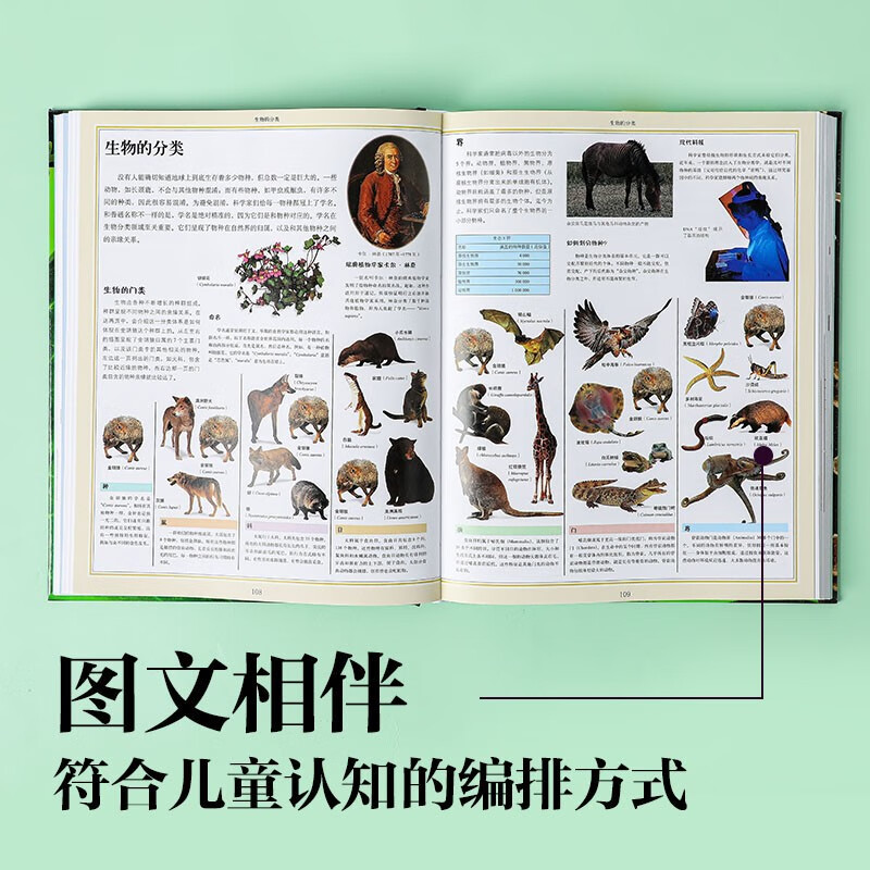 DK儿童自然大百科详情图